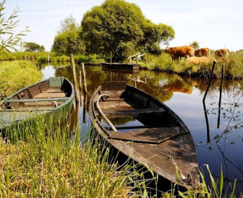 Petit Appartement A La Campagne Proche Mer Missillac Luaran gambar